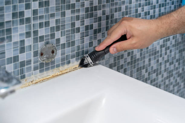 Best Post-Remediation Services in Capac, MI