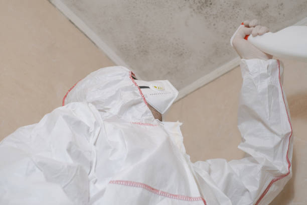 Best Residential Mold Remediation in Capac, MI